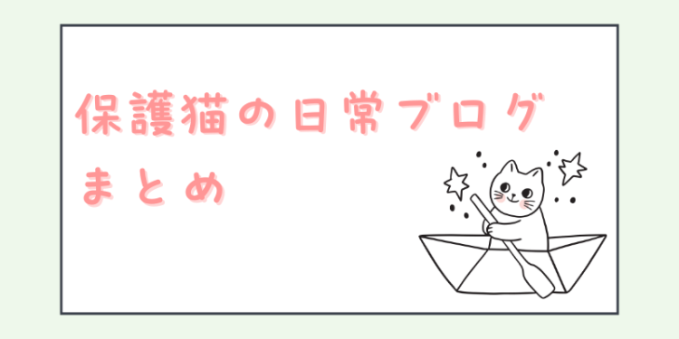 cook 今日なに作ろ？